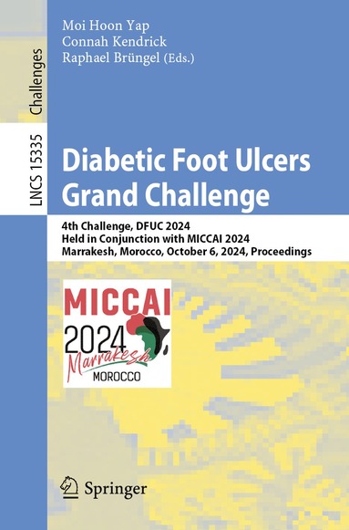 bokomslag Diabetic Foot Ulcers Grand Challenge