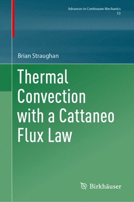 Thermal Convection with a Cattaneo Flux Law 1