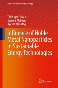 bokomslag Influence of Noble Metal Nanoparticles in Sustainable Energy Technologies