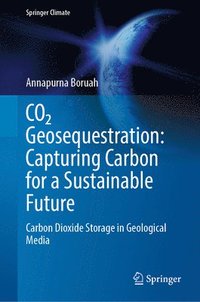 bokomslag CO Geosequestration: Capturing Carbon for a Sustainable Future