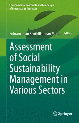 bokomslag Assessment of Social Sustainability Management in Various Sectors