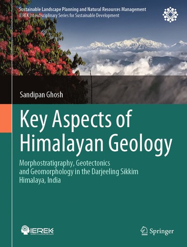 bokomslag Key Aspects of Himalayan Geology