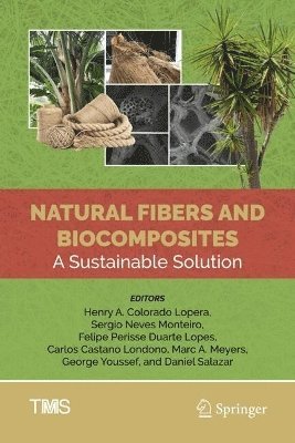 bokomslag Natural Fibers and Biocomposites: A Sustainable Solution