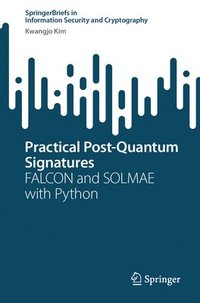 bokomslag Practical Post-Quantum Signatures