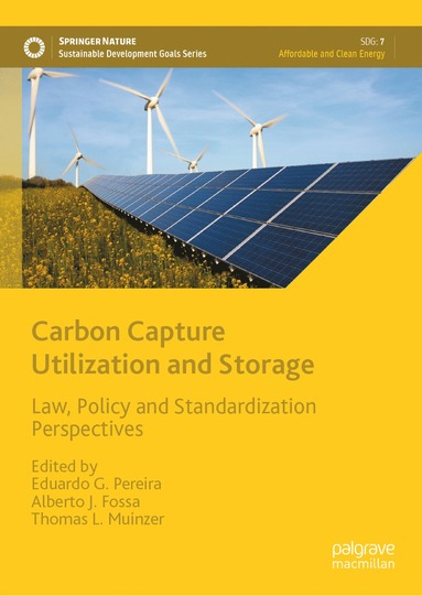 bokomslag Carbon Capture Utilization and Storage