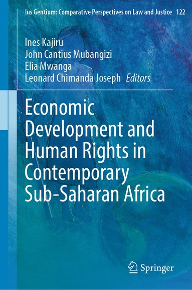 bokomslag Economic Development and Human Rights in Contemporary Sub-Saharan Africa