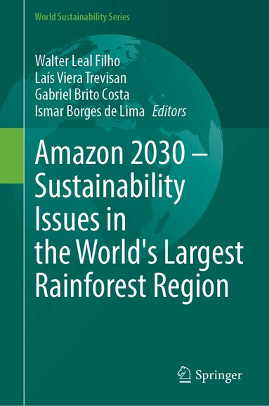 Walter Leal Filho, Laís Viera Trevisan, Gabriel Brito Costa, Ismar Borges de Lima - Amazon 2030 - Sustainability Issues in the World's Largest Rainforest Region, Inbunden