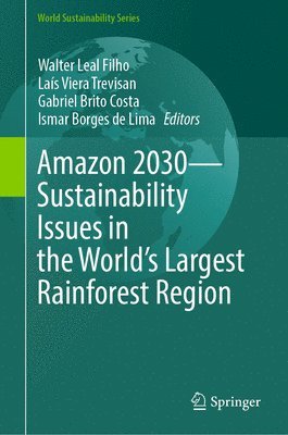 bokomslag Amazon 2030 - Sustainability Issues in the World's Largest Rainforest Region