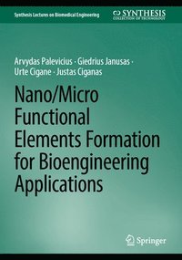 bokomslag Nano/micro Functional Elements Formation for Bioengineering Applications