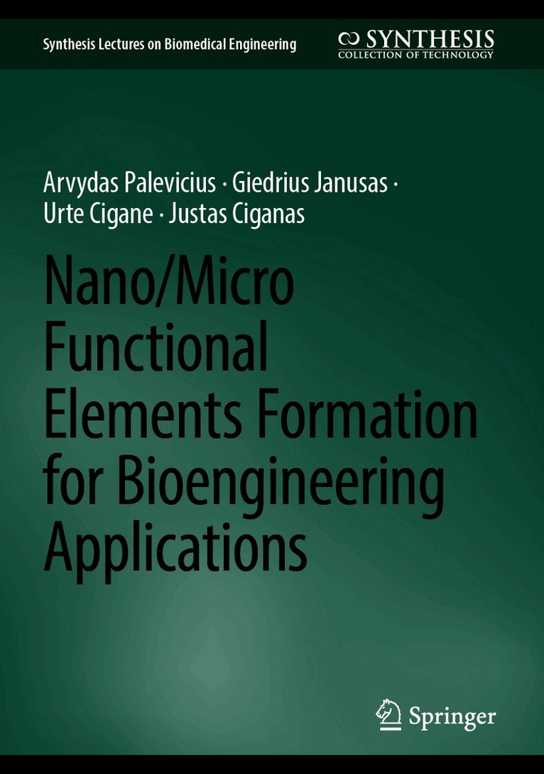 Nano/Micro Functional Elements Formation for Bioengineering Applications
