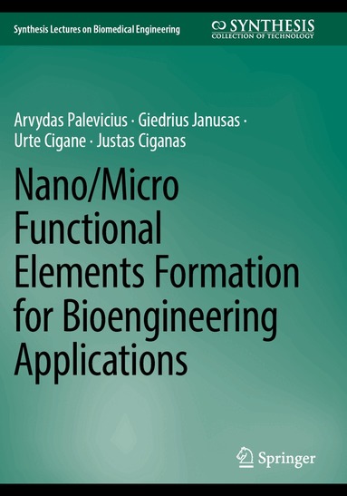 Arvydas Palevicius, Giedrius Janusas, Urte Cigane, Justas Ciganas - Nano/Micro Functional Elements Formation for Bioengineering Applications, Häftad