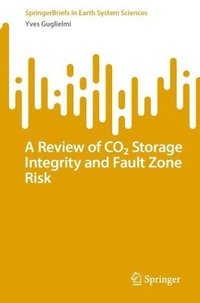 bokomslag Review of CO? Storage Integrity and Fault Zone Risk