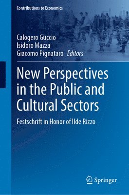 bokomslag New Perspectives in the Public and Cultural Sectors