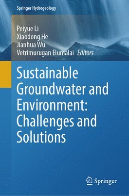 bokomslag Sustainable Groundwater and Environment: Challenges and Solutions