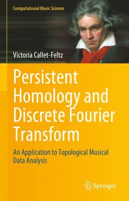 Victoria Callet-Feltz, Victoria Callet-Feltz - Persistent Homology and Discrete Fourier Transform, Inbunden