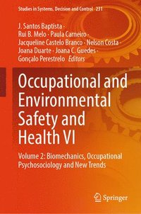 bokomslag Occupational and Environmental Safety and Health VI