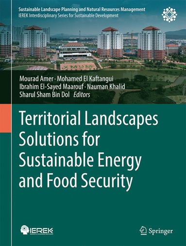 bokomslag Territorial Landscapes Solutions for Sustainable Energy and Food Security