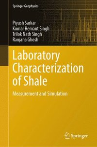 bokomslag Laboratory Characterization of Shale