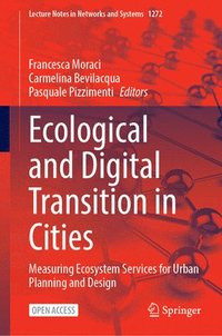 bokomslag Ecological and Digital Transition in Cities