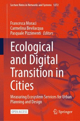 bokomslag Ecological and Digital Transition in Cities