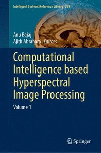 bokomslag Computational Intelligence based Hyperspectral Image Processing