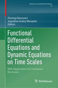 bokomslag Functional Differential Equations and Dynamic Equations on Time Scales