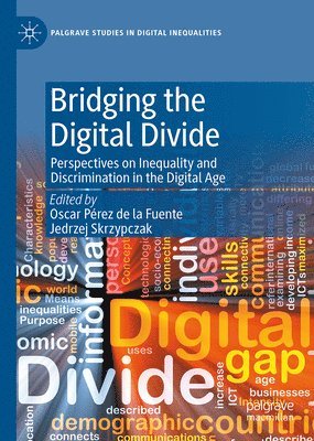 Bridging the Digital Divide 1