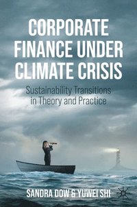 bokomslag Corporate Finance Under Climate Crisis