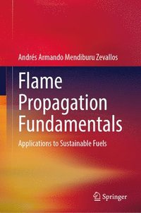 bokomslag Flame Propagation Fundamentals