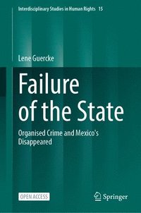 bokomslag Failure of the State