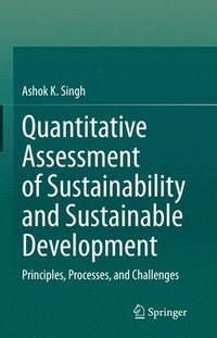 bokomslag Quantitative Assessment of Sustainability and Sustainable Development