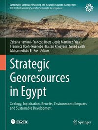 bokomslag Strategic Georesources in Egypt