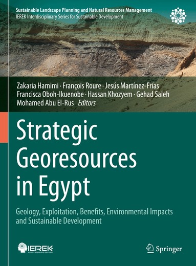 Zakaria Hamimi, François Roure, Jesús Martínez-Frías, Francisca Oboh-Ikuenobe, Hassan Khozyem, Gehad Saleh, Mohamed Abu El-Rus - Strategic Georesources in Egypt, Inbunden