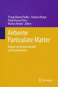 bokomslag Airborne Particulate  Matter