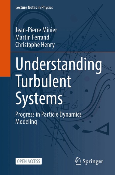 Jean-Pierre Minier, Martin Ferrand, Christophe Henry - Understanding Turbulent Systems, Häftad