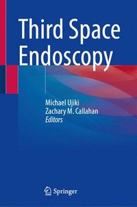 bokomslag Third Space Endoscopy