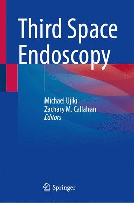 Third Space Endoscopy 1