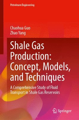 bokomslag Shale Gas Production: Concept, Models, and Techniques