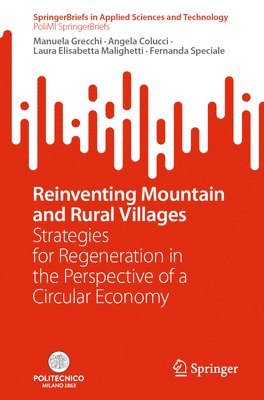 bokomslag Reinventing Mountain and Rural Villages