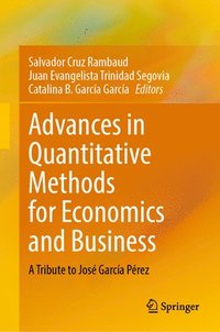 bokomslag Advances in Quantitative Methods for Economics and Business