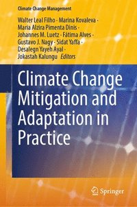 bokomslag Climate Change Mitigation and Adaptation in Practice