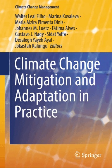 Walter Leal Filho, Marina Kovaleva, Maria Alzira Pimenta Dinis, Johannes M. Luetz, Fátima Alves, Gustavo J. Nagy, Sidat Yaffa, Desalegn Yayeh Ayal, Jokastah Kalungu - Climate Change Mitigation and Adaptation in Practice, Inbunden