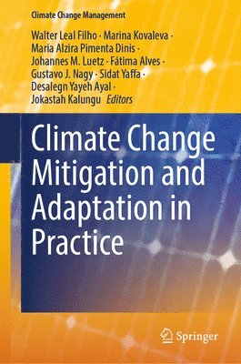 bokomslag Climate Change Mitigation and Adaptation in Practice