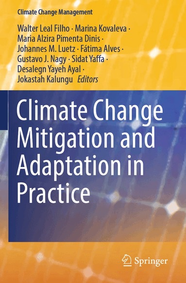 Walter Leal Filho, Marina Kovaleva, Maria Alzira Pimenta Dinis, Johannes M. Luetz, Fátima Alves, Gustavo J. Nagy, Sidat Yaffa, Desalegn Yayeh Ayal, Jokastah Kalungu - Climate Change Mitigation and Adaptation in Practice, Häftad
