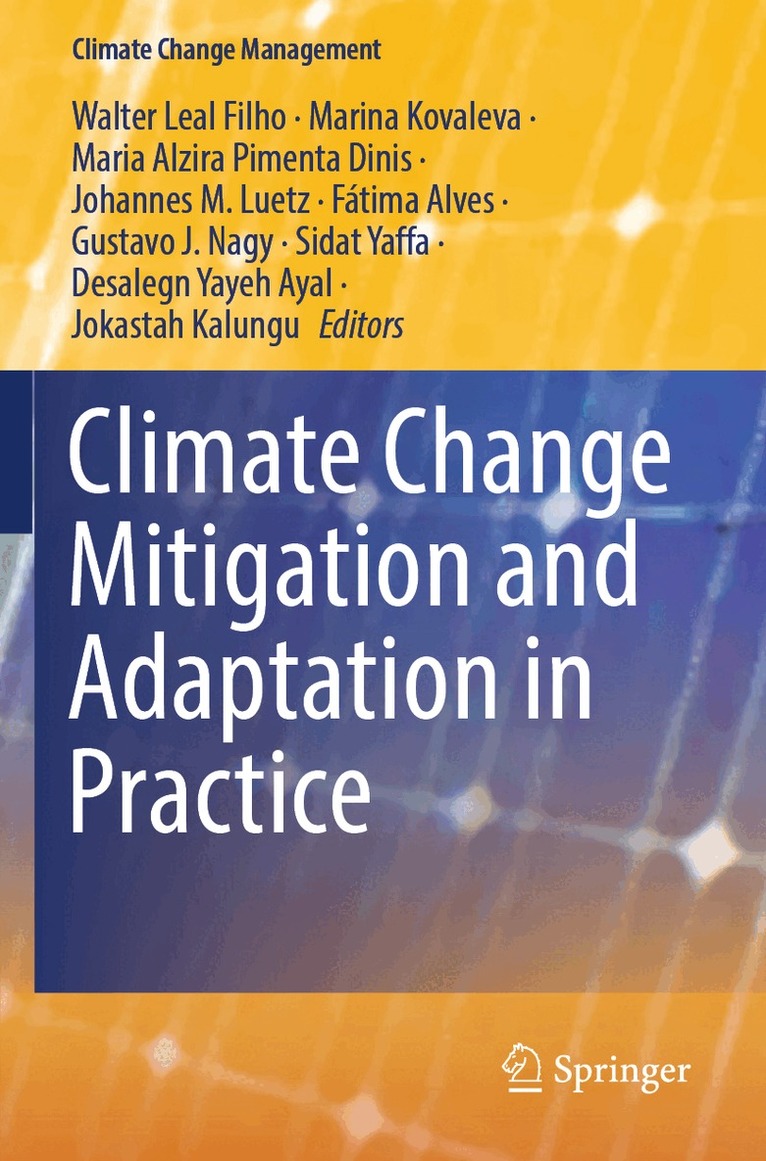 Walter Leal Filho, Marina Kovaleva, Maria Alzira Pimenta Dinis, Johannes M. Luetz, Fátima Alves, Gustavo J. Nagy, Sidat Yaffa, Desalegn Yayeh Ayal, Jokastah Kalungu - Climate Change Mitigation and Adaptation in Practice, Häftad
