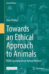 bokomslag Towards an Ethical Approach to Animals