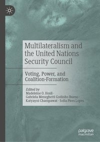 bokomslag Multilateralism and the United Nations Security Council