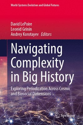 bokomslag Navigating Complexity in Big History