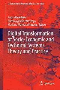 bokomslag Digital Transformation of Socio-Economic and Technical Systems: Theory and Practice