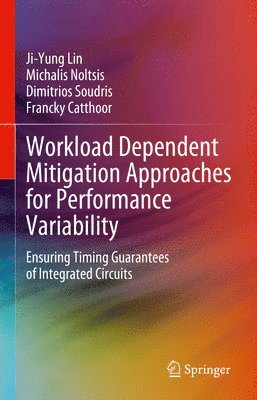 bokomslag Workload Dependent Mitigation Approaches for Performance Variability